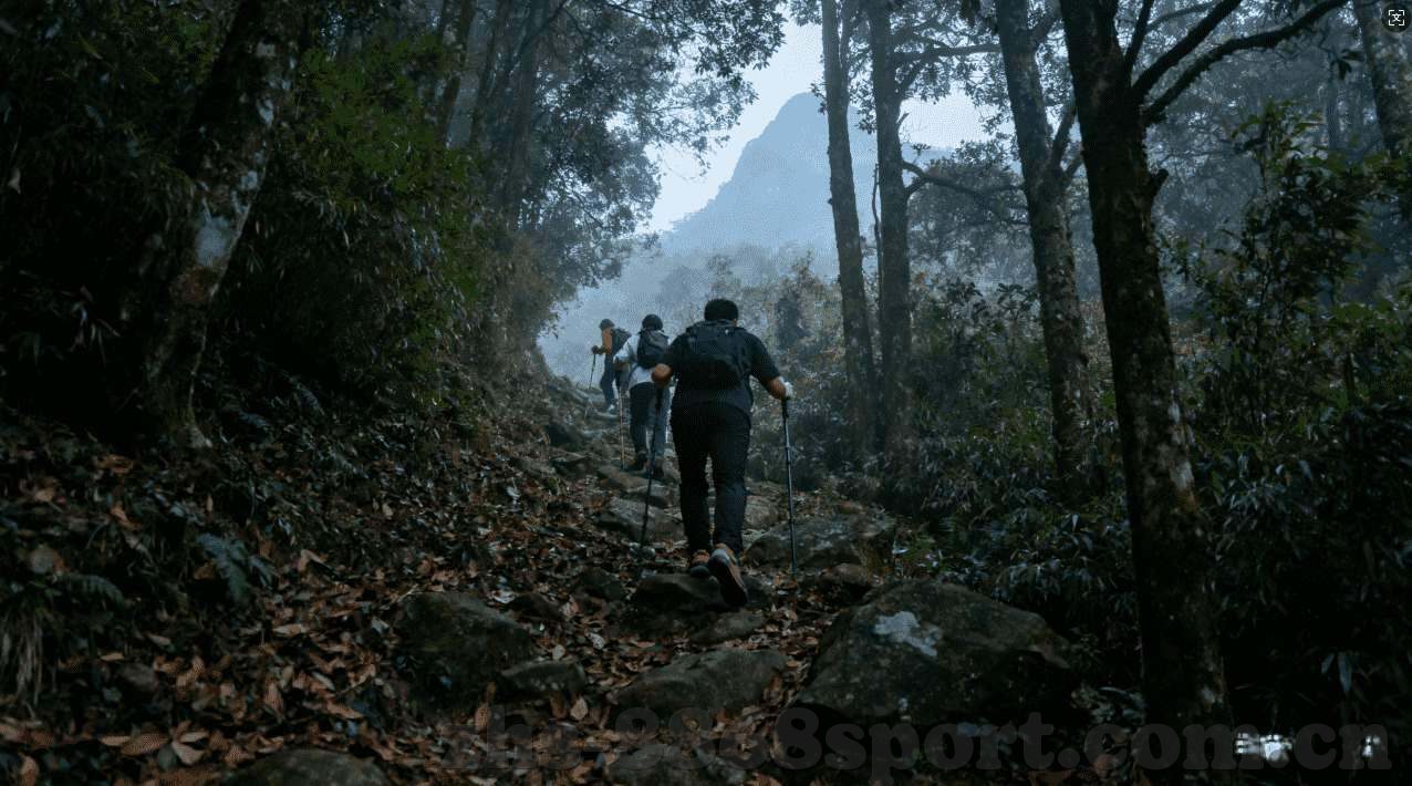 扑克牌德州怎么比大小-扑克牌德州扑克大小比较详解